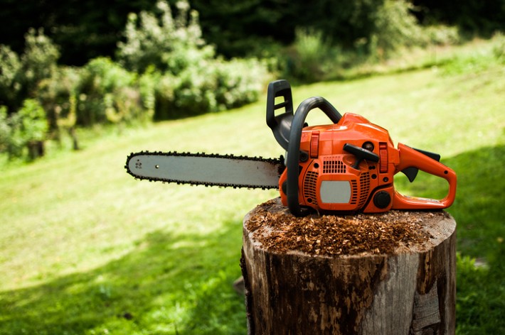 Electric vs. Gas Chainsaw - Review Pages by Woodsmith