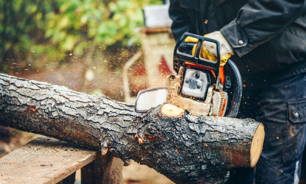 Difference between Gas Chainsaws and an Electric Chainsaw