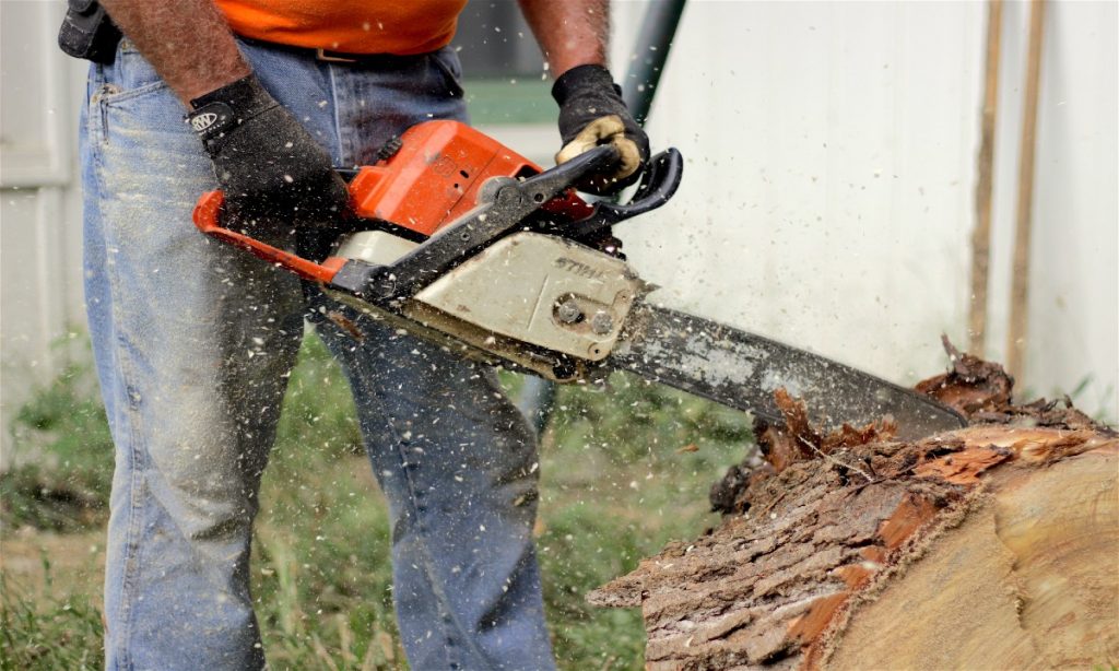 highly rated gas chainsaws