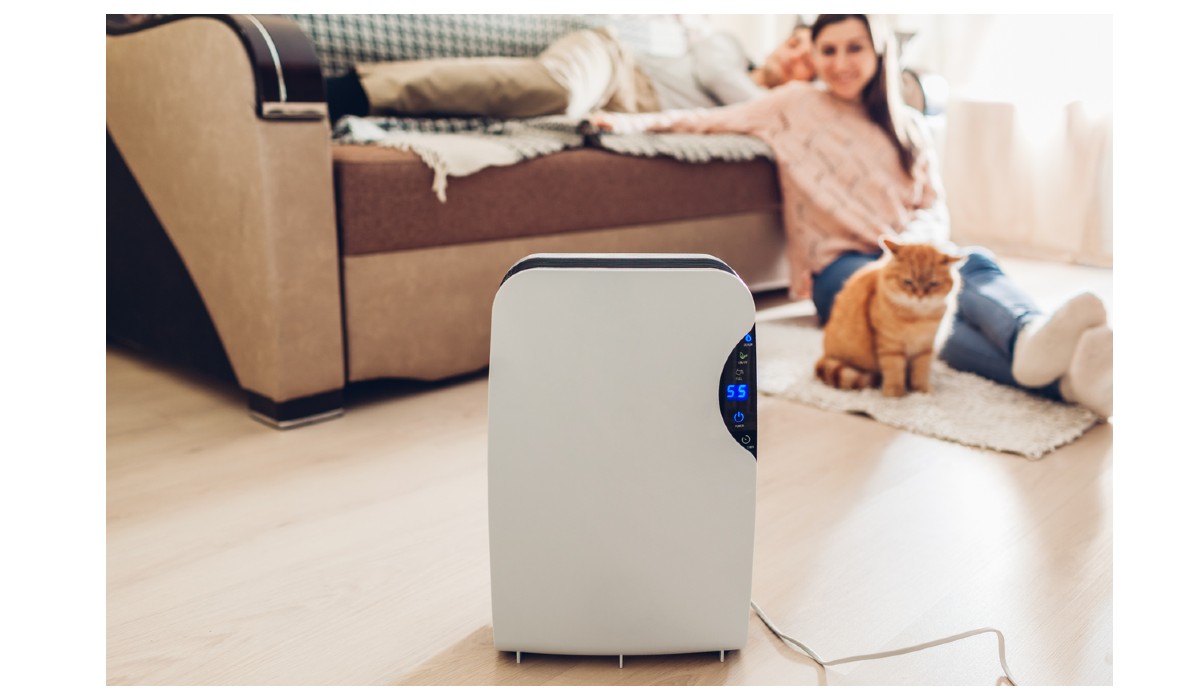 where-should-you-keep-a-dehumidifier-in-your-home-woodsmith-guides