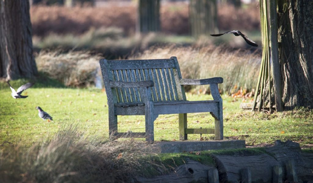 Maintaining a Wood Bench