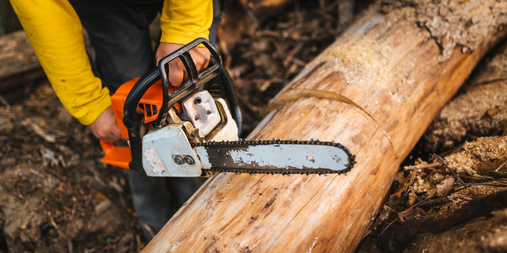 Unrecognizable man with a chainsaw tool cutting a wood trunk