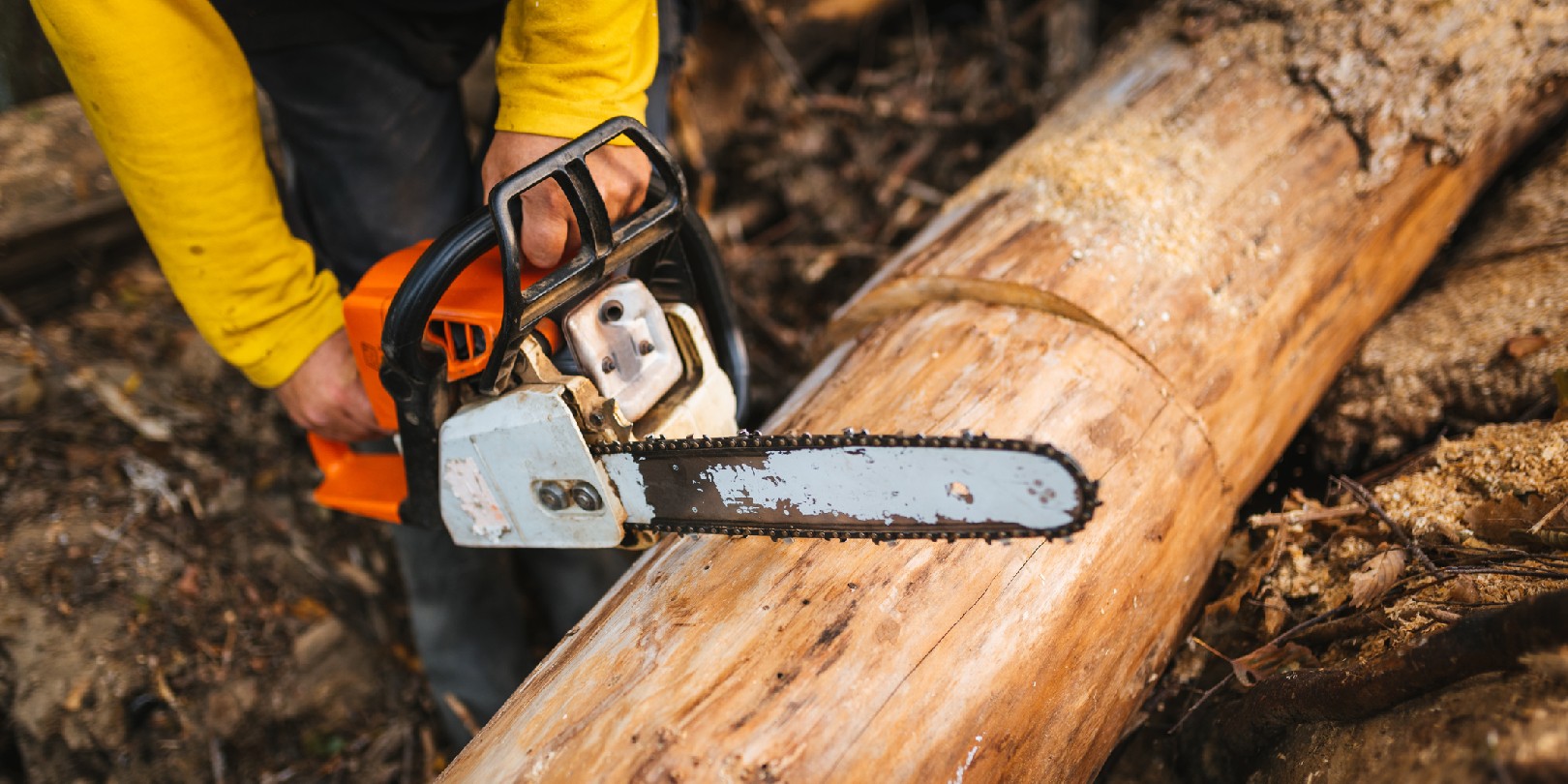 Electric vs. Gas Chainsaw - Review Pages by Woodsmith