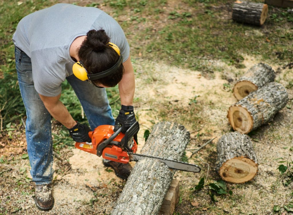 Chainsaw Tips for Beginners: Mastering Your Tool